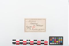 Etiketten zu Bronzebrillenfibel (NHMW-PRAE-024242)